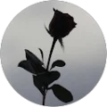 Ariana Avatar