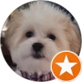 Annie Patterson Avatar