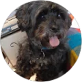 Hilda Becerril Avatar
