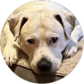 Rhonda Moore Avatar