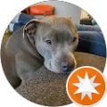 Joe Cunningham Avatar